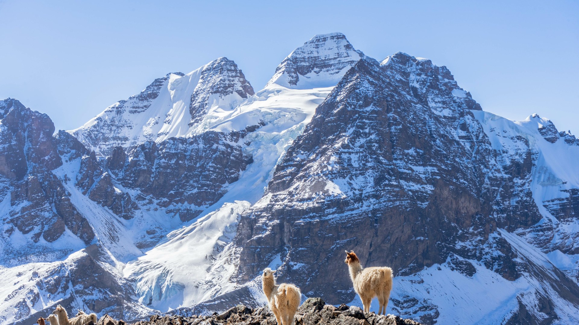 Boliviens schönste Gipfel